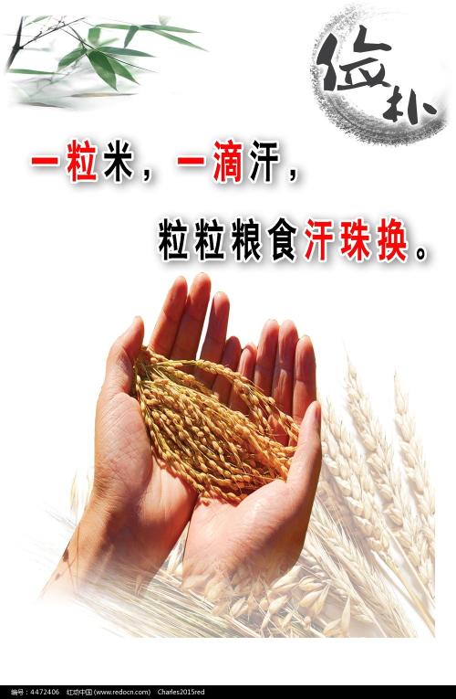 仿制圣安娜大学文凭毕业证
